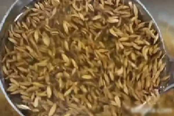 《孜然菠菜》和《万能素菜汁》视频教程-配方档案馆