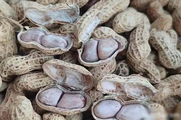 手工花生制作视频教程-配方档案馆